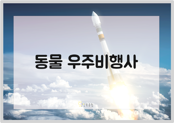 연관자료 사진