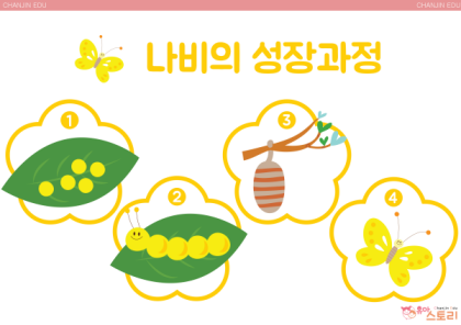 연관자료 사진