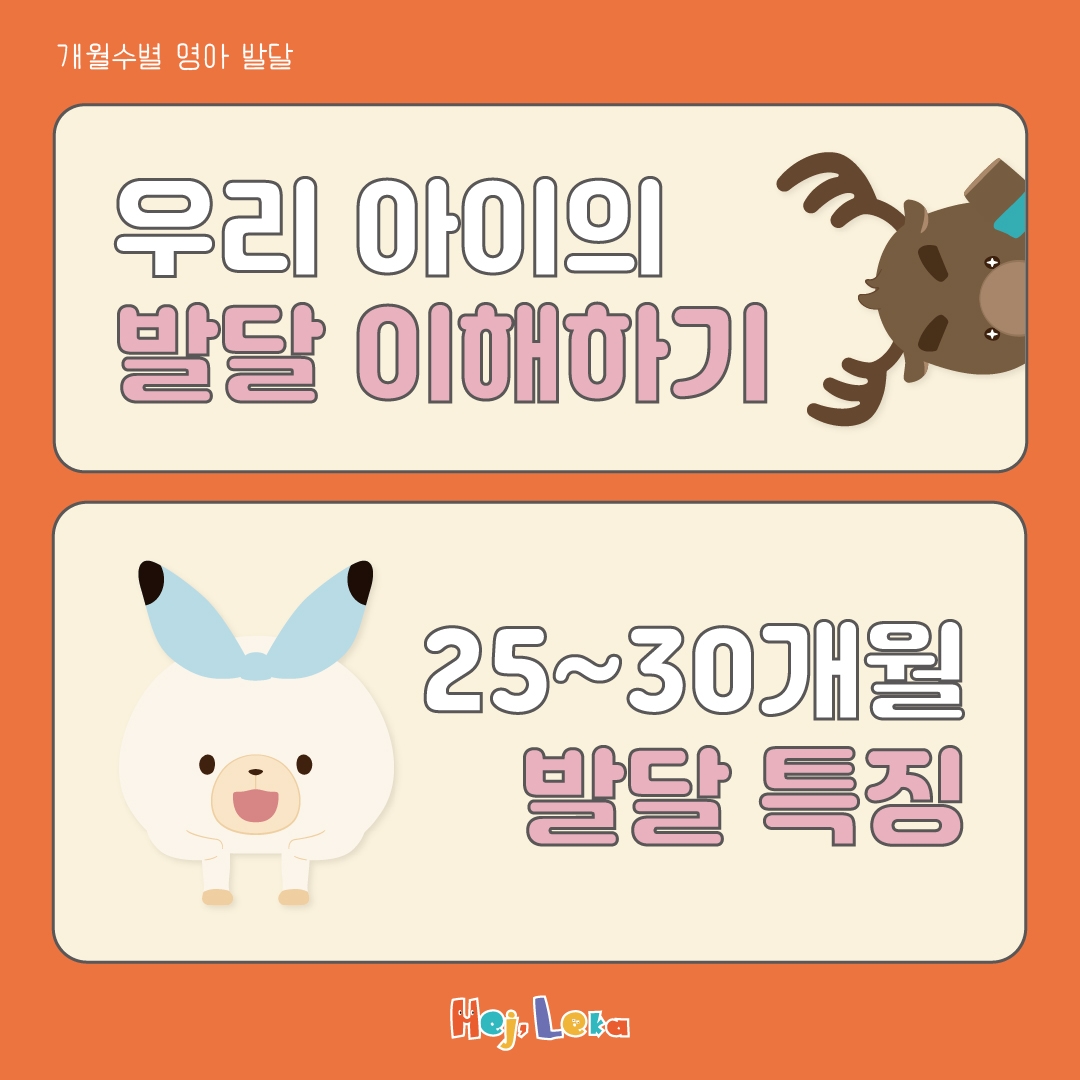 연관자료 사진