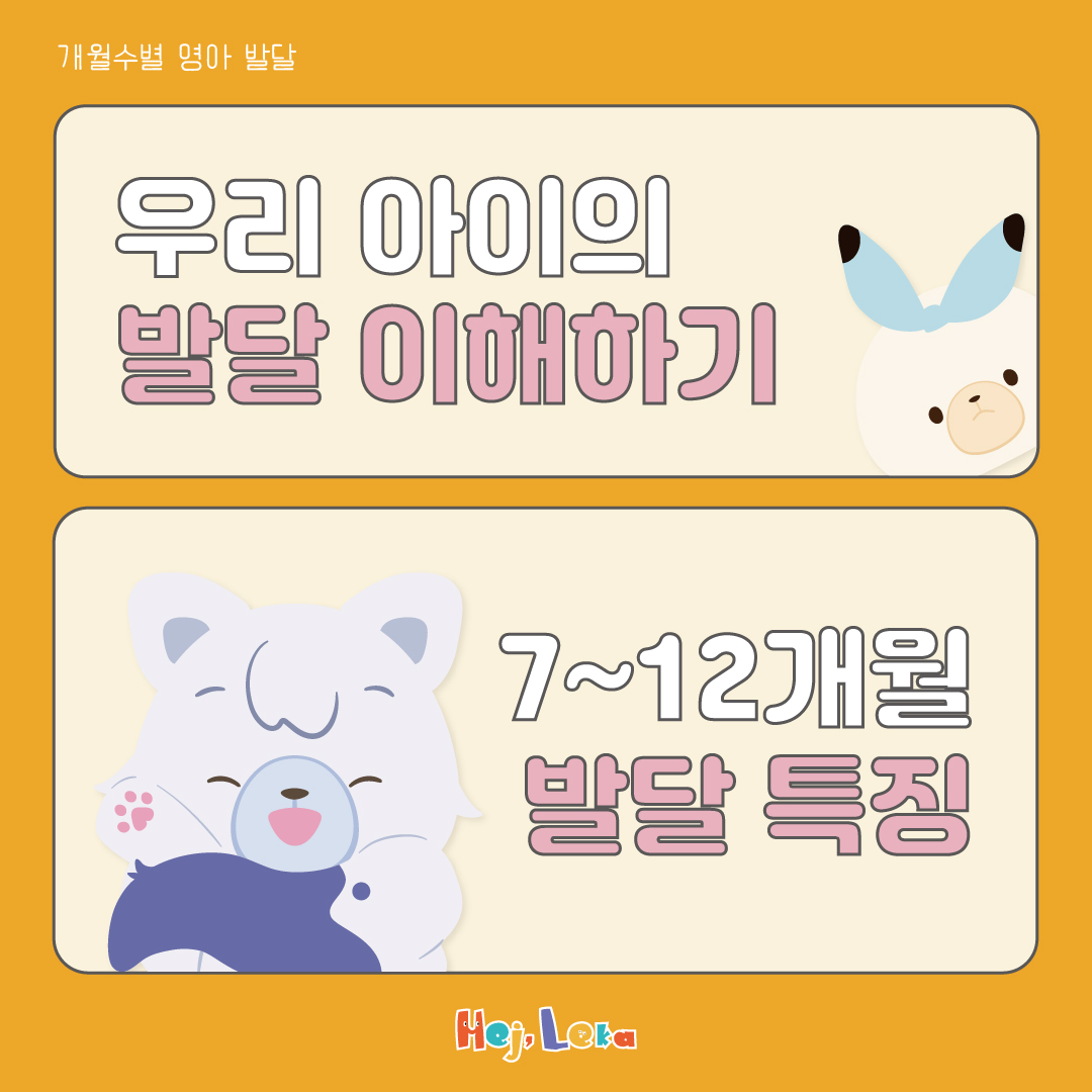 연관자료 사진