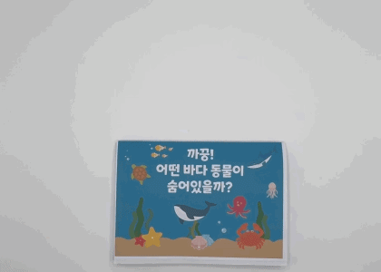 교규