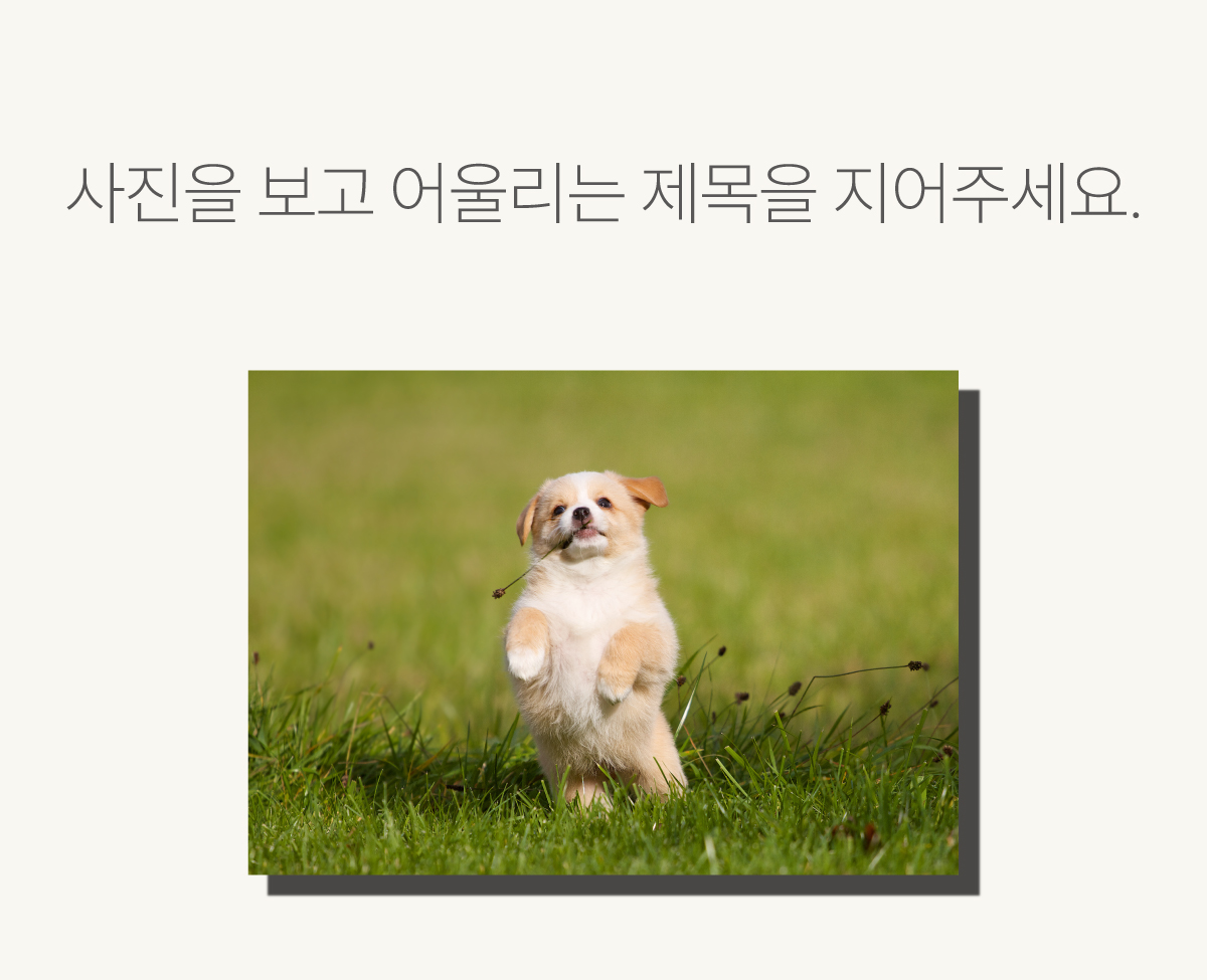 제목유치원