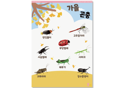 연관자료 사진